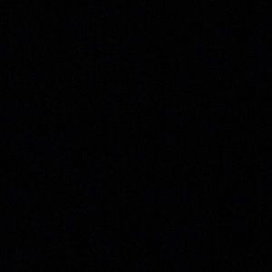 Meet your Posher, Ally